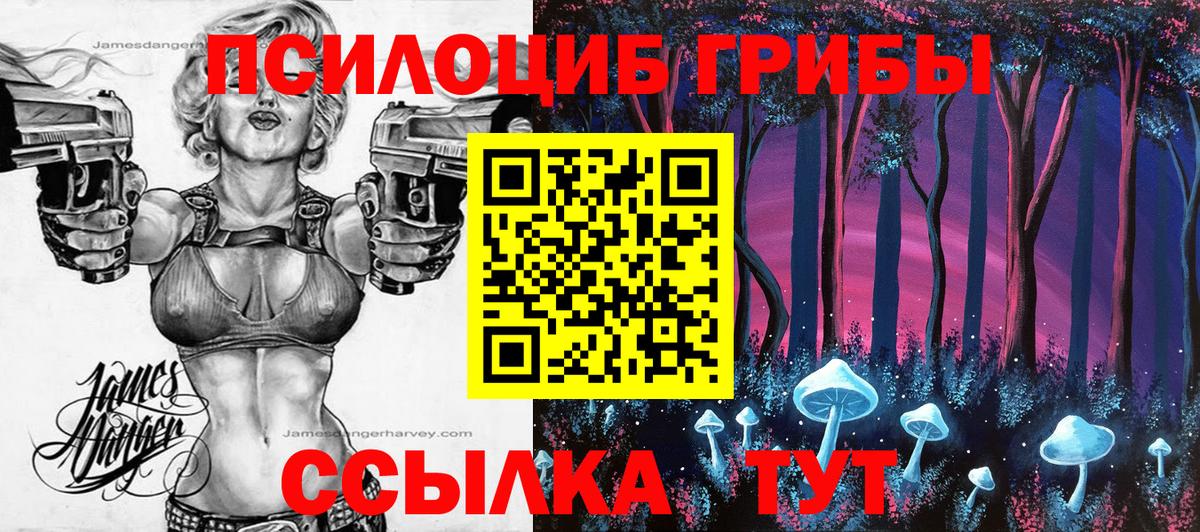 Батайск  Псилоцибиновые грибы ЛСД  Псилоцибиновые грибы ЛСД  Вход с VPN 